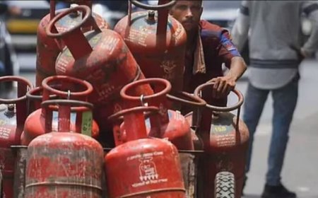 କମିଲା ବ୍ୟବସାୟିକ ଏଲପିଜି ସିଲିଣ୍ଡର ଦର