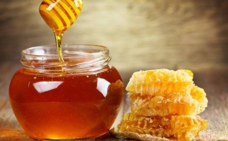 ମହୁର ଓଷଧୀୟ ଗୁଣ