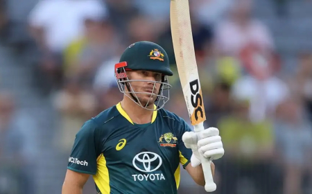 ଅନ୍ତର୍ଜାତୀୟ କ୍ରିକେଟରେ ଡେଭିଡ ୱାର୍ନରଙ୍କ ଅବସର