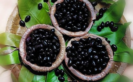 ମଧୁମେହ ରୋଗୀଙ୍କ ପାଇଁ ବେଶ୍ ଉପକାରି ଜାମୁ କୋଳି