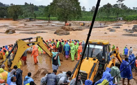 ୱାୟନାଡ ଭୂସ୍ଖଳନରେ ୩୦୦ ଟପିଲା  ମୃତ୍ୟୁ ସଂଖ୍ୟା