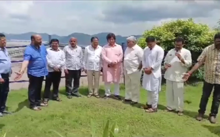 ପୋଲାଭରମ ସ୍ଥିତି ସମୀକ୍ଷା କରି ଫେରିଛନ୍ତି ବିଜୁ ଜନତା ଦଳ