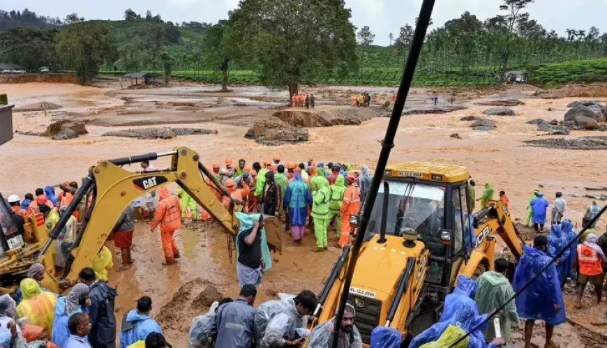 ୱାୟନାଡ ଭୂସ୍ଖଳନରେ ୩୦୦ ଟପିଲା  ମୃତ୍ୟୁ ସଂଖ୍ୟା