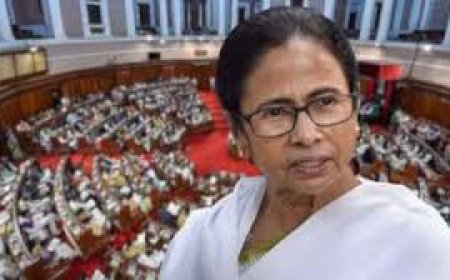 ଦୁଷ୍କର୍ମ ବିରୋଧୀ 'ଅପରାଜିତା' ବିଲ୍ ପାରିତ