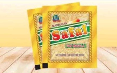 ନକଲି ଗୁଟ୍‌ଖା କାରଖାନାରେ ଚଢାଉ,