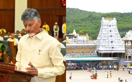 ତିରୁପତି ଲଡ଼ୁରେ ମିଶୁଛି ପଶୁ ଚର୍ବି ଓ ମାଛ ତେଲ