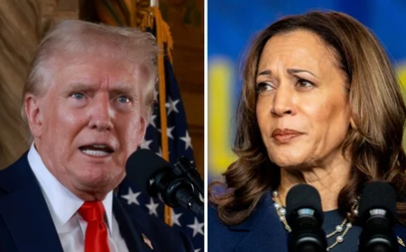 ଡୋନାଲ୍ଡ ଟ୍ରମ୍ପଙ୍କ ପରେ କମଲା ହାରିସଙ୍କୁ ନିଶାଣ