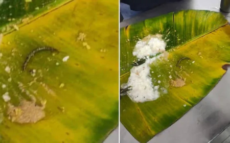 ତିରୁପତିଙ୍କ ପ୍ରସାଦରେ ପୋକ