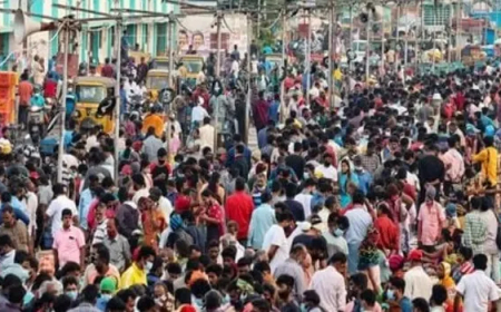 ୨୦୨୫ରେ ହେବ ଜନଗଣନା