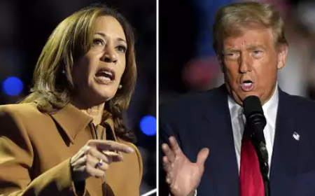 ଆଜି ଆମେରିକା ରାଷ୍ଟ୍ରପତି ନିର୍ବାଚନ, ଚାଲିଛି କଡ଼ା ଟକ୍କର