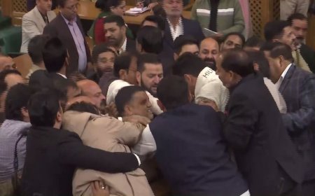 ଧାରା ୩୭୦କୁ ନେଇ ଜମ୍ମୁ ଓ କାଶ୍ମୀର ବିଧାନସଭାରେ ହଟ୍ଟଗୋଳ