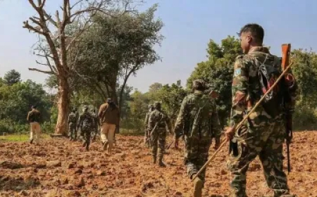 ଛତିଶଗଡ଼ରେ ବଡଧରଣର ଏନକାଉଣ୍ଟର