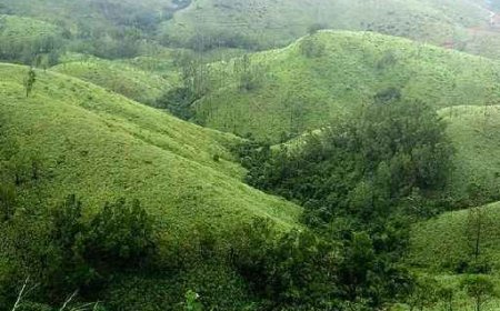 ଗନ୍ଧମାର୍ଦ୍ଦନ ନିକଟରେ ଆଦାନୀ ଜମି କିଣିବା ପ୍ରସଙ୍ଗରେ ସ୍ପଷ୍ଟୀକରଣ ଦାବି କଲେ ବିରୋଧୀ