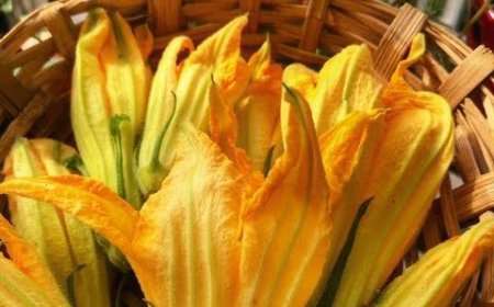 କଖାରୁଫୁଲର ଉପକାରିତା