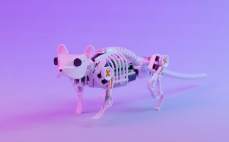 ରୋବୋଟିକ୍‌ ମାଉସ୍‌ 'ସ୍କ୍ୟୁରୋ'