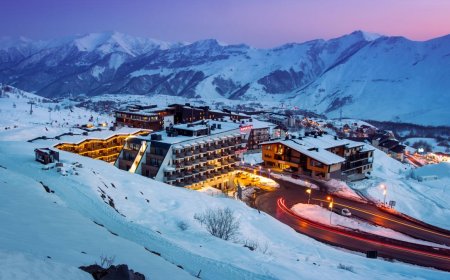 ଜର୍ଜିଆରେ ୧୨ ଭାରତୀୟ ମୃତ