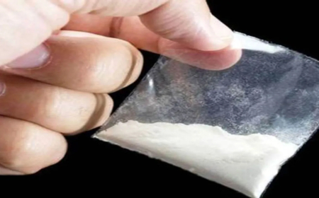 ପିପିଲିରୁ ୩୭୮ ଗ୍ରାମ ବ୍ରାଉନ ସୁଗାର ଜବତ