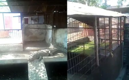 ପୂର୍ବତନ ବିଜେପି ବିଧାୟକଙ୍କ ଘରେ ଆୟକର ଚଢ଼ାଉ, ମିଳିଲା କୋଟି କୋଟି ଟଙ୍କା ସହ ୩ଟି କୁମ୍ଭୀର