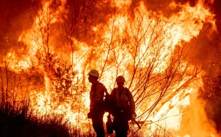 ଆଖି ସାମ୍ନାରେ ପୋଡି ପାଉଁଶ ହେଉଛନ୍ତି  ନିଜ ଲୋକେ