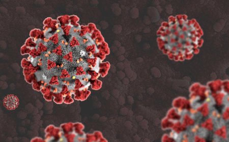 ଦେଶରେ କାୟା ବିସ୍ତାର କରୁଛି ଏଚଏମପିଭି