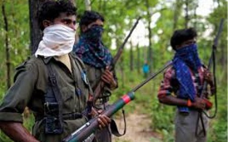 ଛତିଶଗଡର ବିଜାପୁର ଓ ଦାନ୍ତେୱାଡାର ସୁରକ୍ଷାକର୍ମୀଙ୍କୁ ମିଳିଛି ବଡ଼ ସଫଳତା