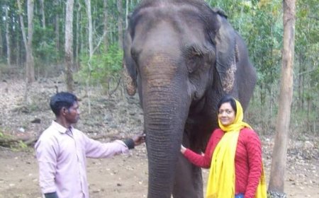 ଆଖି ବୁଜିଲା ପୋଷାହାତୀ ଭବାନୀ