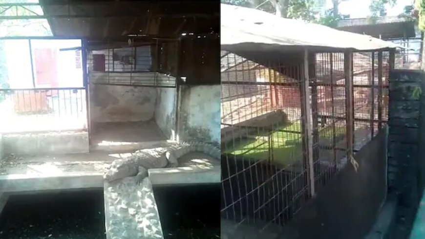 ପୂର୍ବତନ ବିଜେପି ବିଧାୟକଙ୍କ ଘରେ ଆୟକର ଚଢ଼ାଉ, ମିଳିଲା କୋଟି କୋଟି ଟଙ୍କା ସହ ୩ଟି କୁମ୍ଭୀର