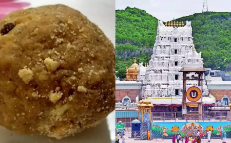  ତିରୁପତି ଘିଅ ମାମଲା: ୪ ଜଣଙ୍କୁ ଗିରଫ କରିଛି ସିବିଆଇ