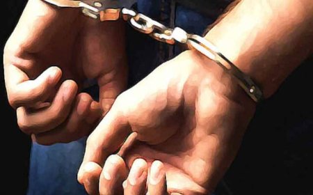 ଚୋରର ନିଆରା ସଉକ