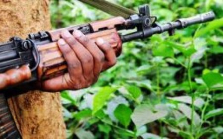 ମାଲକାନଗିରି ସୀମାନ୍ତ ଛତିଶଗଡ଼ ବିଜାପୁର ଜିଲ୍ଲାରେ ସୁରକ୍ଷାକର୍ମୀଙ୍କୁ ମିଳିଛି ବଡ଼ ସଫଳତା ।