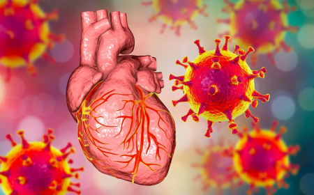 ହୃଦଘାତର କାରଣ ନୁହେଁ କୋଭିଡ ଟିକା