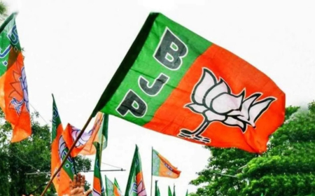 ୮ରେ ହେବ ରାଜ୍ୟ ବିଜେପି ସଭାପତି ଘୋଷଣା