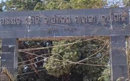 ମାହାଙ୍ଗା ବ୍ଲକ୍‌ର ସବୁ କର୍ମଚାରୀଙ୍କର ଦରମା ବନ୍ଦ