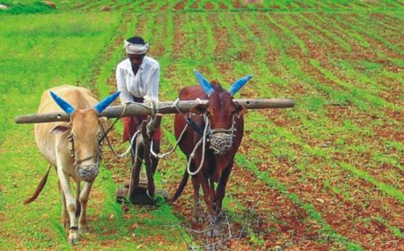 ବଢିବ ଚାଷୀ ପଞ୍ଜୀକରଣ ଅବଧି