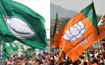 ଦିଲ୍ଲୀ ଗସ୍ତରେ ବିଜେପି ଏବଂ ବିଜେଡି ମୁଖିଆ