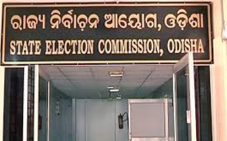 ରାଜ୍ୟରେ ନିର୍ଦ୍ଧାରିତ ସମୟରେ ହେବ ପଞ୍ଚାୟତ ନିର୍ବାଚନ