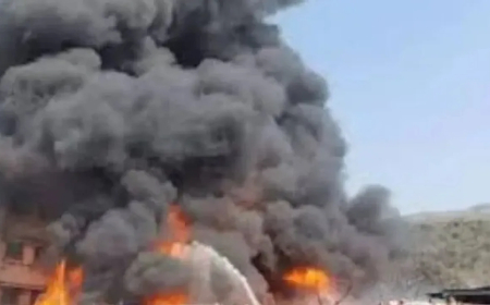 ରାସାୟନିକ କାରଖାନାରେ ଅଗ୍ନିକାଣ୍ଡ: ୭ ଶ୍ରମିକ ଜୀବନ୍ତ ଦଗ୍ଧ