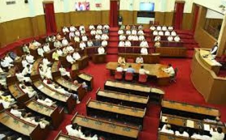 ଆରମ୍ଭ ହୋଇଛି ବିଧାନସଭା ବଜେଟ୍ ଅଧିବେଶନ