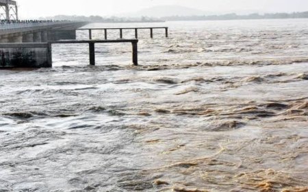 ଓଡ଼ିଶା ଆସିବେ ମହାନଦୀ ଟ୍ରିବ୍ୟୁନାଲ ଦଳ