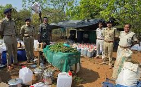 ଦୁଇ ଶହ କୋଟିର ଗଞ୍ଜେଇ ତେଲ ଜବତ