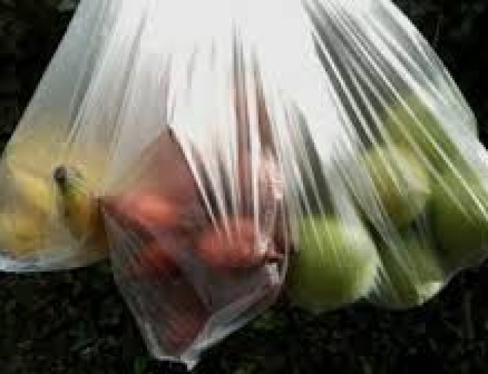 ମନ୍ଦିର ପରିସରକୁ  ପ୍ଲାଷ୍ଟିକ୍‌ ମନା