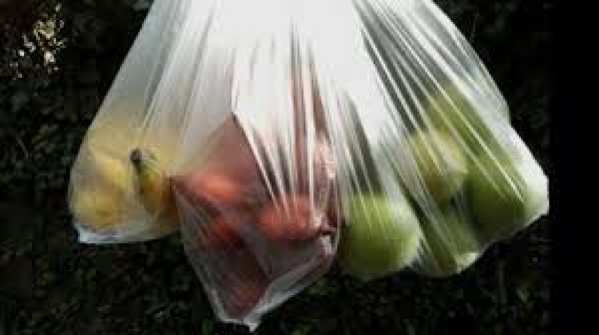 ମନ୍ଦିର ପରିସରକୁ  ପ୍ଲାଷ୍ଟିକ୍‌ ମନା