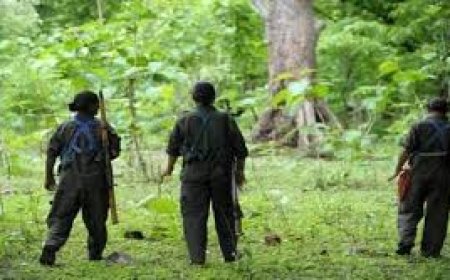 ବଲାଙ୍ଗୀର ଓ ବରଗଡ଼ ଜିଲ୍ଲା ହେଲା ନକ୍ସଲମୁକ୍ତ