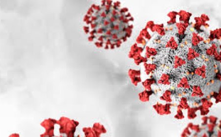 କୋଭିଡ୍ ଟିକା ପାର୍ଶ୍ୱପ୍ରତିକ୍ରିୟାରେ ପ୍ରାଣ ହରାଇଥିବା ଲୋକଙ୍କ ପରିବାରକୁ ମିଳିବ କ୍ଷତିପୂରଣ