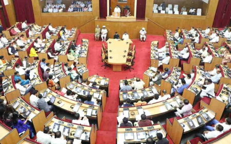 ଓଡ଼ିଶା ବିଧାନସଭାରେ ପ୍ରକାଶ ପାଇଲା ଶ୍ବେତପତ୍ର