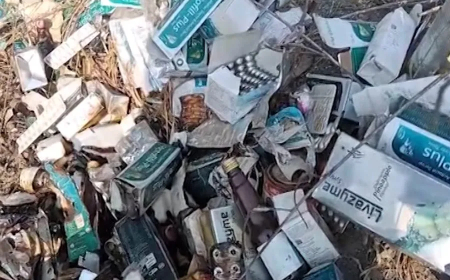 ଜଙ୍ଗଲରେ ପଡିଛି ପୁଳା ପୁଳା ସରକାରୀ ଔଷଧ