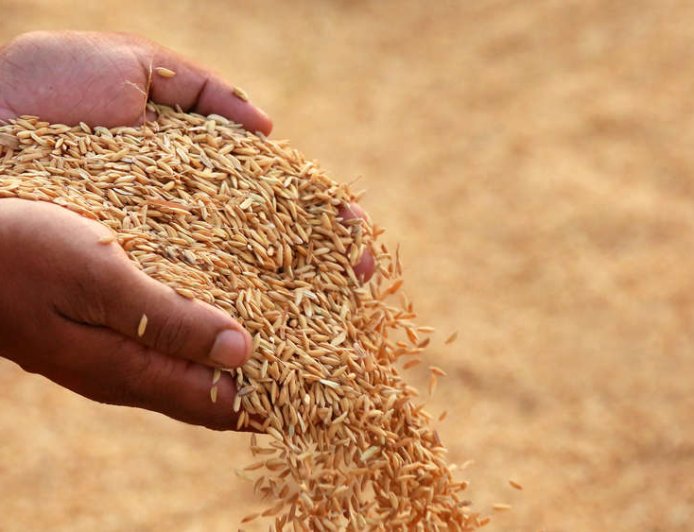 ମେ’ ପହିଲାରୁ ଆରମ୍ଭ ହେବ ଧାନ କିଣା