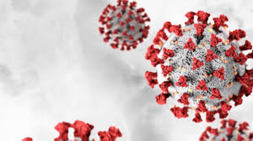 କୋଭିଡ୍ ଟିକା ପାର୍ଶ୍ୱପ୍ରତିକ୍ରିୟାରେ ପ୍ରାଣ ହରାଇଥିବା ଲୋକଙ୍କ ପରିବାରକୁ ମିଳିବ କ୍ଷତିପୂରଣ