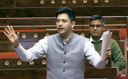 ରାଜ୍ୟସଭାର ଉପନେତା ପଦରୁ ହଟିଲେ ଆପ୍ ସାଂସଦ ରାଘବ ଚଢ଼ା