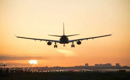 ପୁରୀରେ ବିମାନବନ୍ଦର ପାଇଁ  ମିଳିଲା ଜଙ୍ଗଲ ଜମି ମଞ୍ଜୁରୀ